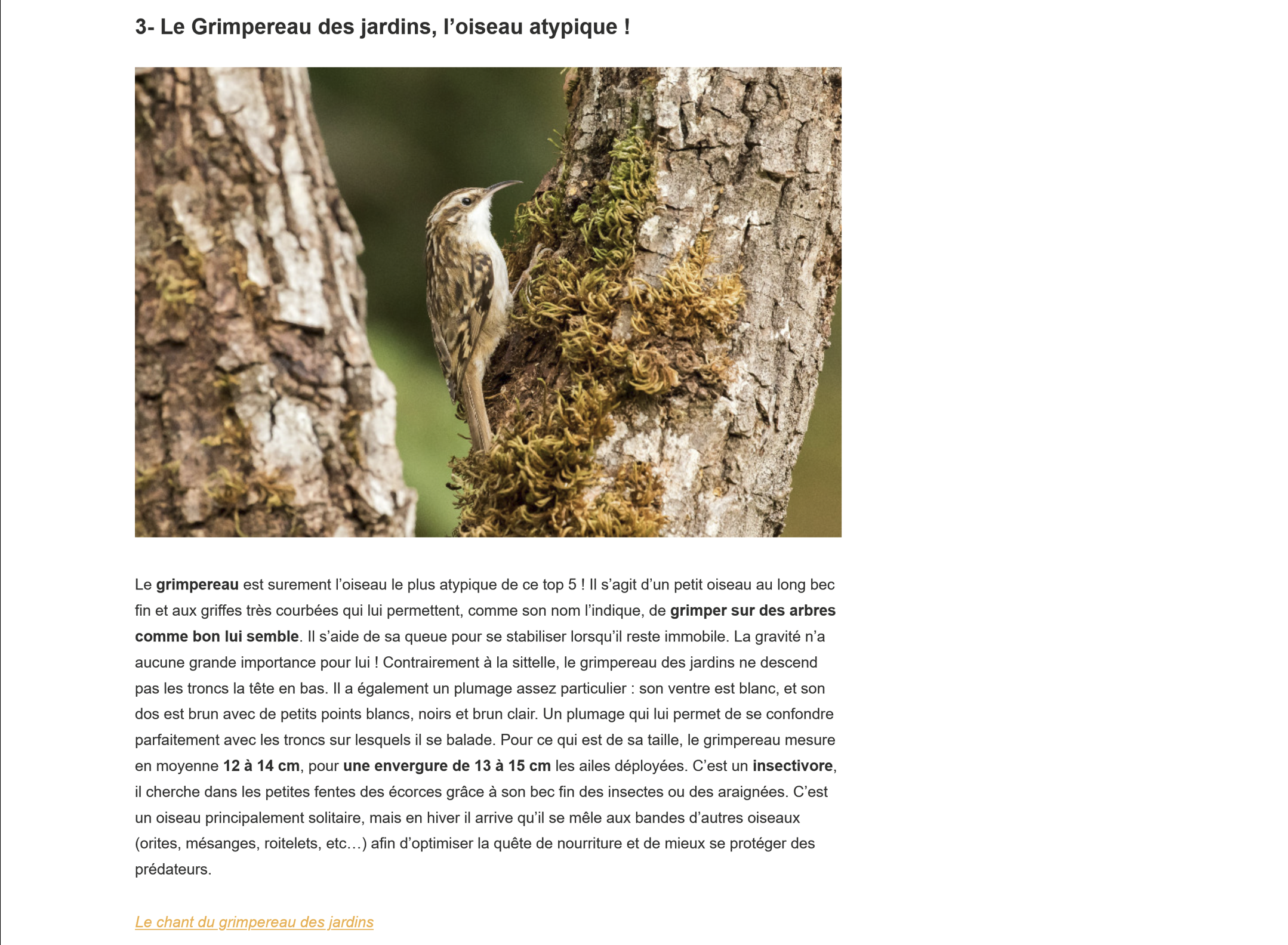 Blog 4